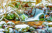 Winters Creek Photograph by Jason Brooks Winters Creek Photograph by Jason Brooks