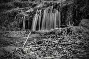 Wispy Falls Photograph by Michael Brungardt