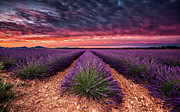 Wonderful World Photograph by Jorge Maia