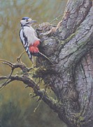 Woodpecker on Tree Painting by Alan M Hunt
