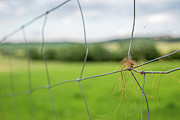 Wrapped Photograph by Andreas Levi