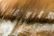 Written In Water Photograph by Deborah Hughes