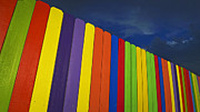 Xylophone Photograph by Skip Hunt