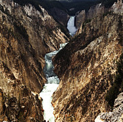Yellowstone National Park Photograph by Mark Smith