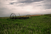 Yesteryears field Photograph by Jeff Swan