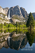 Yosemite National Park, Springtime Photograph by Inga Spence Yosemite National Park, Springtime Photograph by Inga Spence