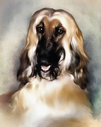 Young Afghan Hound   Portrait Digital Art by Darlene Kwiatkowski