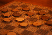 Your Move Photograph by Linda Shafer