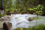 Zauberwald, Bavaria Photograph by Andreas Levi