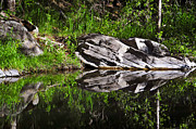Zen Pool Photograph by Skip Hunt Zen Pool Photograph by Skip Hunt