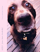 Zoey Mixed Media by Zsanan Studio