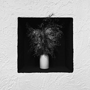 *** #1 Photograph by Karina Aleksandrova