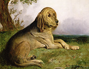 A Bloodhound In A Landscape Painting by English School A Bloodhound In A Landscape Painting by English School