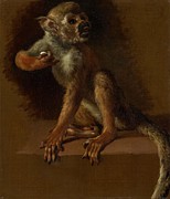 A Seated Monkey. #1 Painting by Jan Weenix