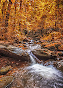 Amicalola Falls #2 Photograph by Bernd Laeschke