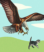 Bald Eagle Grabbing a Cat #1 Drawing by CSA Images Bald Eagle Grabbing a Cat #1 Drawing by CSA Images