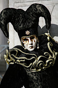 Black Jester #2 Photograph by Donna Corless Black Jester #2 Photograph by Donna Corless