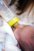 Bottle Feeding #1 Photograph by Science Photo Library