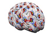Brain Activity #1 Photograph by Science Photo Library
