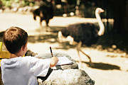 Child Drawing An Ostrich #1 Photograph by Science Photo Library