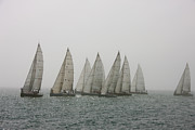 Competitive Sailing In Key West #1 Photograph by Schedivy Pictures Inc.