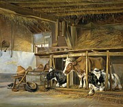 Cows in a Stable. #1 Painting by Jan van Ravenswaay