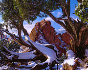 Framed By Nature #1 Photograph by Bill Sherrell