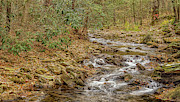 Frogtown Creek #2 Photograph by Bernd Laeschke Frogtown Creek #2 Photograph by Bernd Laeschke