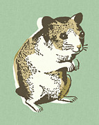 Gerbil #1 Drawing by CSA Images Gerbil #1 Drawing by CSA Images