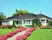 House in the Suburbs #1 Drawing by CSA Images House in the Suburbs #1 Drawing by CSA Images