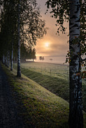 Idyllic Sunrise Landscape With Road #1 Photograph by Jani Riekkinen