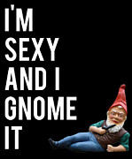 Im Sexy And I Gnome It #1 Digital Art by Flippin Sweet Gear