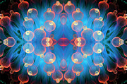 Kaleidoscopic Image Of Bubble Tip Anemone . Raja Ampat #1 Photograph by Georgette Douwma / Naturepl.com