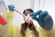Laboratory Test For Covid-19 #1 Photograph by Science Photo Library