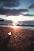 Lake Erie Beach Glass #1 Photograph by Dave Niedbala Lake Erie Beach Glass #1 Photograph by Dave Niedbala