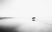 Life's A Beach #1 Photograph by Karen Van Eyken