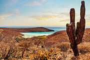 Mexico, La Paz, Baja California Ensenada Del Shiro #1 Digital Art by Claudia Uripos