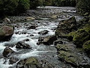 Mountain river #1 Photograph by Martin Smith Mountain river #1 Photograph by Martin Smith