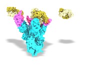 Nanobodies And Covid-19 Virus Spike Protein #1 Photograph by Science Photo Library