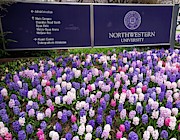 Northwestern University #2 Photograph by David Bearden