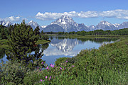 Oxbow Bend #1 Photograph by Ronnie And Frances Howard