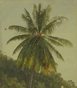Palm Trees, West Indies Painting by Frederic Edwin Church Palm Trees, West Indies Painting by Frederic Edwin Church