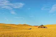 Palouse hills of wheat land #1 Digital Art by Michael Lee
