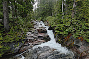 Paradise Creek #1 Photograph by John Christopher
