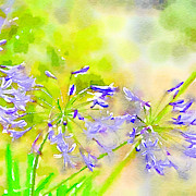 Purple Posies #1 Painting by Bonnie Bruno