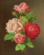 Roses Painting by Andreas Lach Roses Painting by Andreas Lach