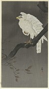 Snowy Eagle On A Tree Branch Painting by Ohara Koson Snowy Eagle On A Tree Branch Painting by Ohara Koson
