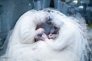 Spinal Surgery #1 Photograph by Science Photo Library