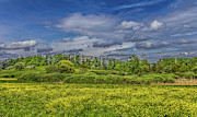 Spring is in the air #2 Photograph by Bernd Laeschke Spring is in the air #2 Photograph by Bernd Laeschke