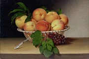 Still Life, Basket Of Peaches Painting by Raphaelle Peale Still Life, Basket Of Peaches Painting by Raphaelle Peale